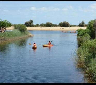 Mobilhome 6-8 Personnes Camping Les Viviers 4 Etoiles Cap Ferret Lège-Cap-Ferret Dış mekan fotoğraf